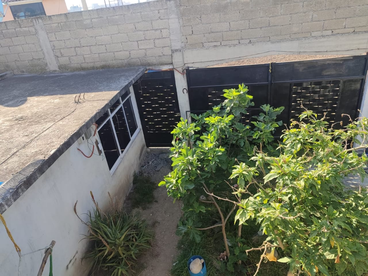 Exterior 3